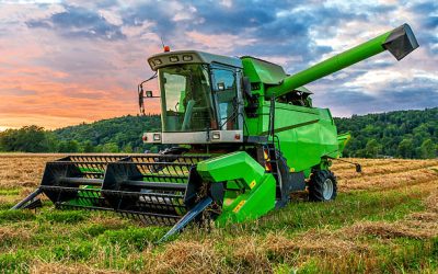 Big green combine harvester in sunset light